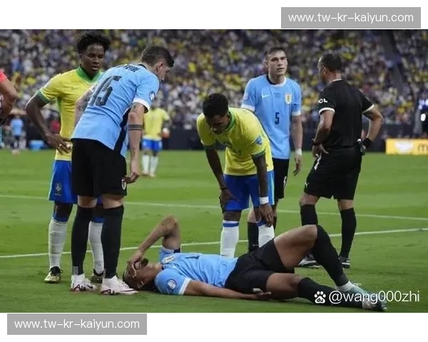 美洲杯集锦：赛场激情与荣耀的碰撞